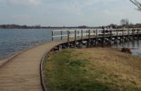 Chasewater Country Park